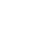 Logo Skoda