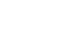 Logo Vaiva